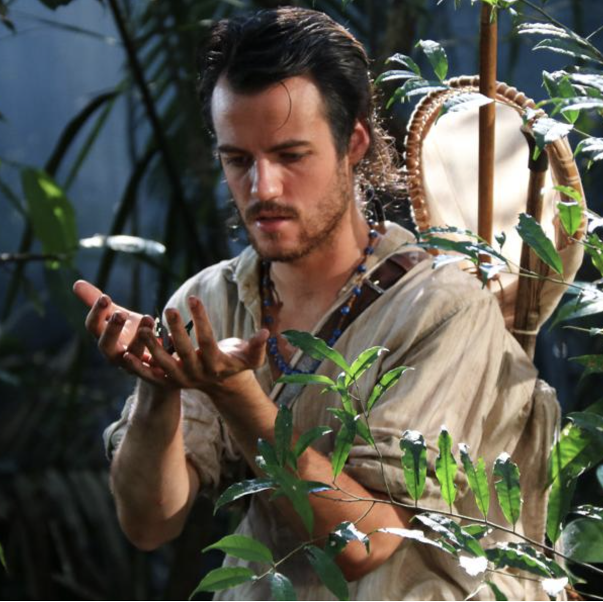 Epic journey among the butterflies