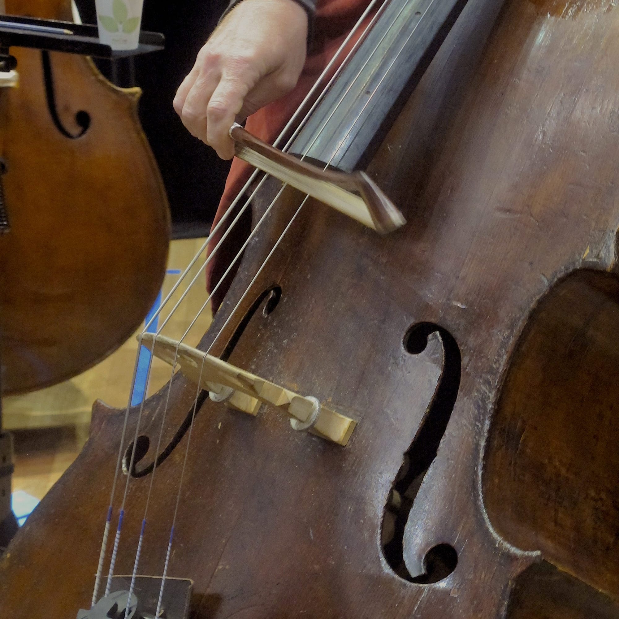 The game of music: A close encounter with a double bass