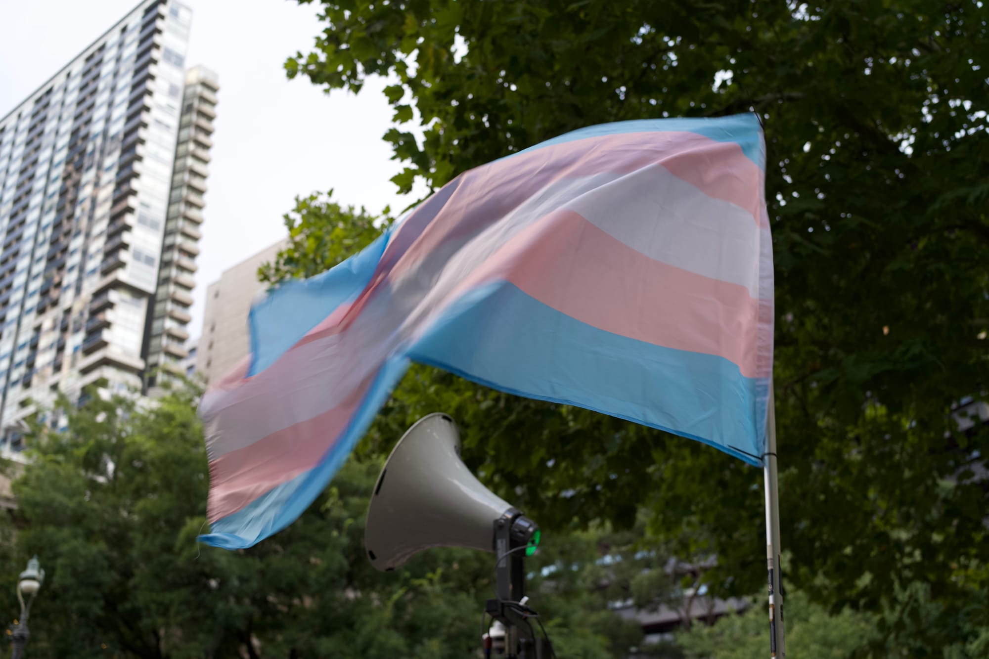 Honouring the living: Celebrations of Transgender Day of Visibility across Victoria