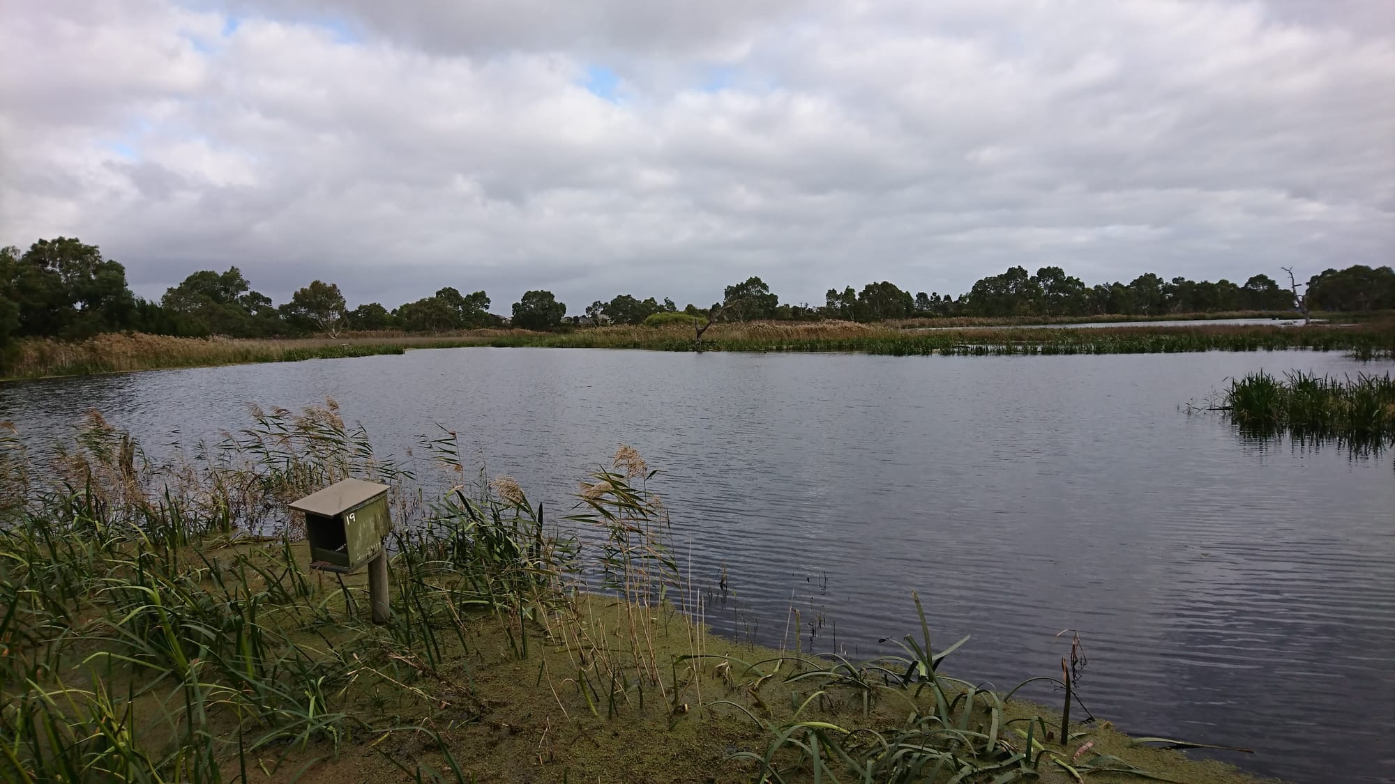 Freeway construction prompts environmental concerns for Braeside Park