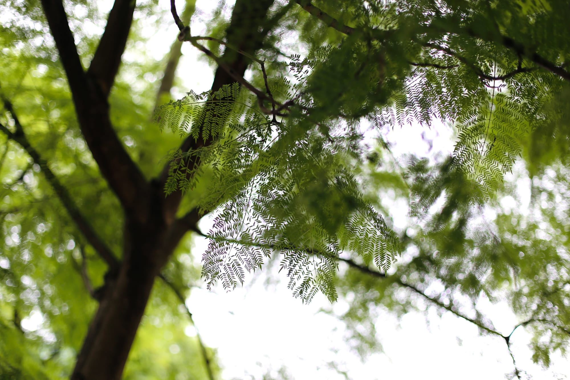 Festival raises hot topic: How can students tackle climate change?