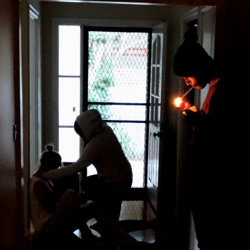 Family violence, ice statistics soar