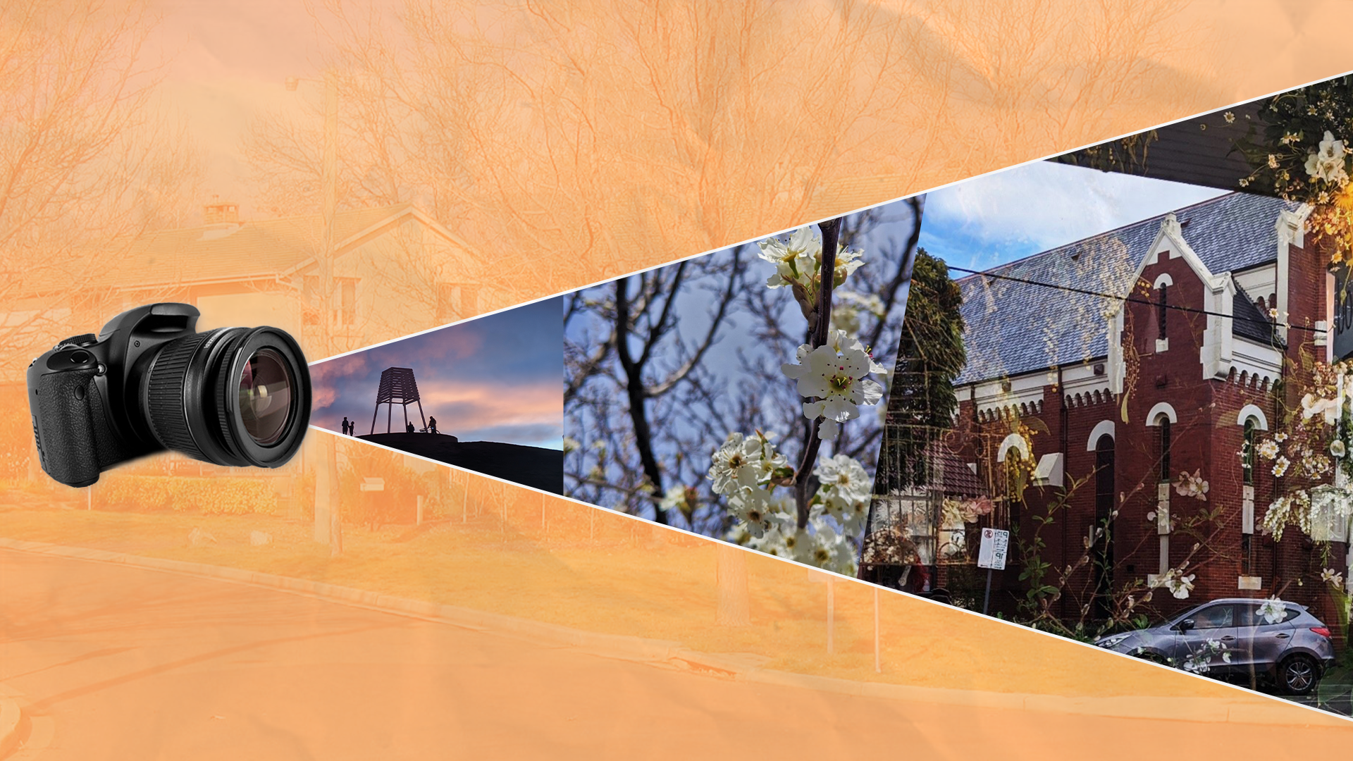 IN PICTURES: Lockdown on the bay