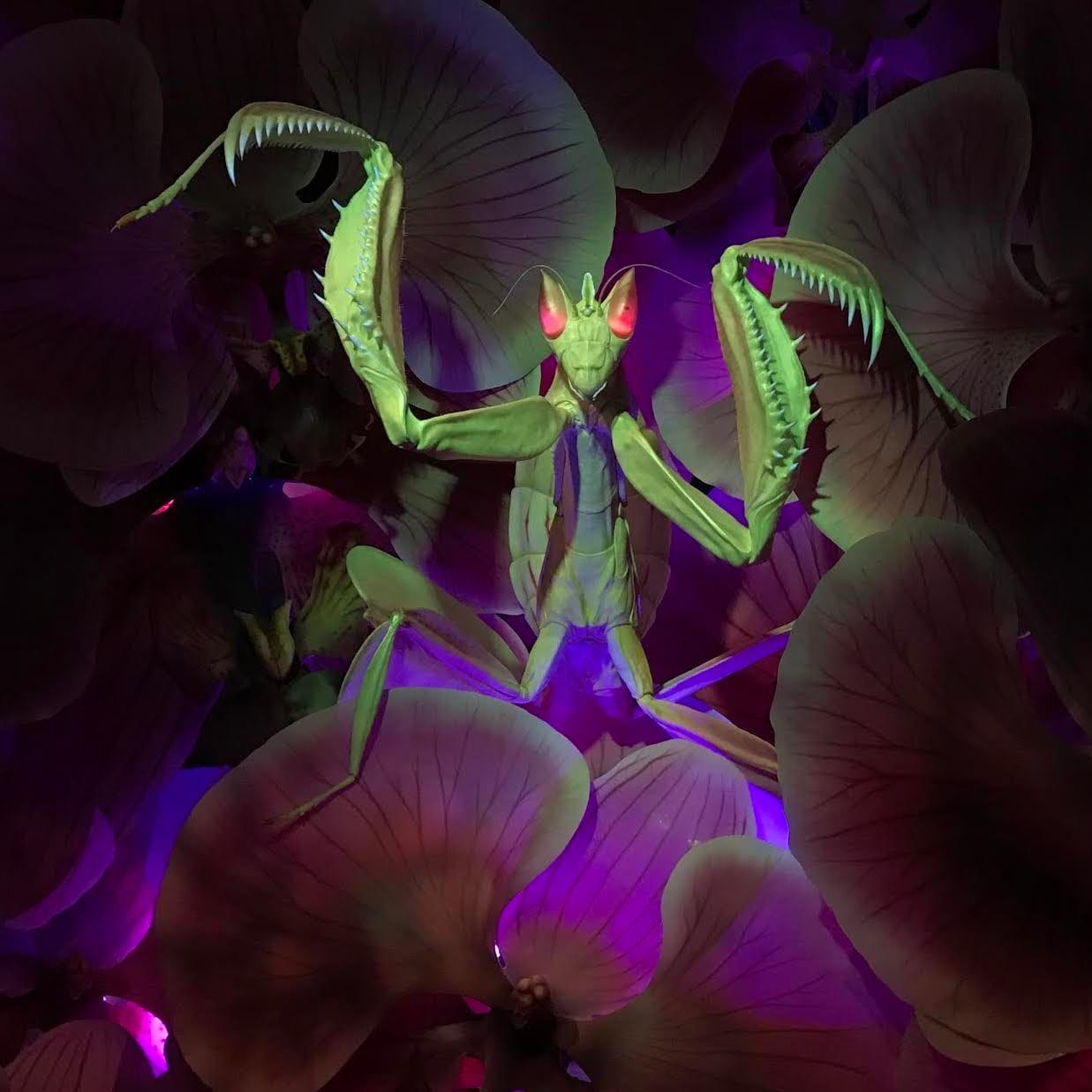 Science meets Hollywood as extraordinary bugs take centre stage