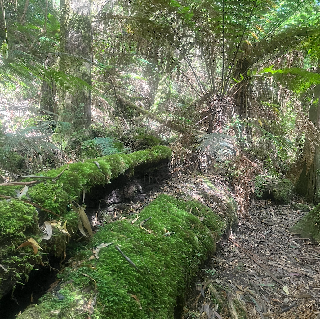 Extinction Rebellion protesters vow to keep up action