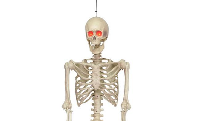 Skeleton stolen in bizarre heist