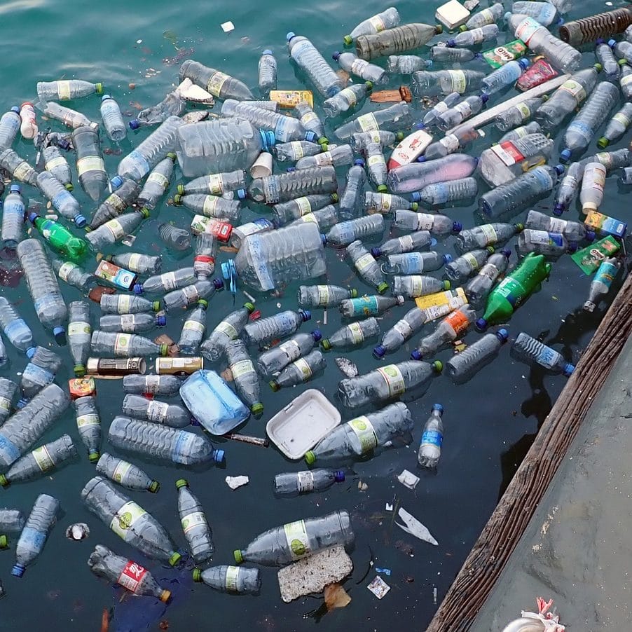 Plastic pollution: How much do you use?
