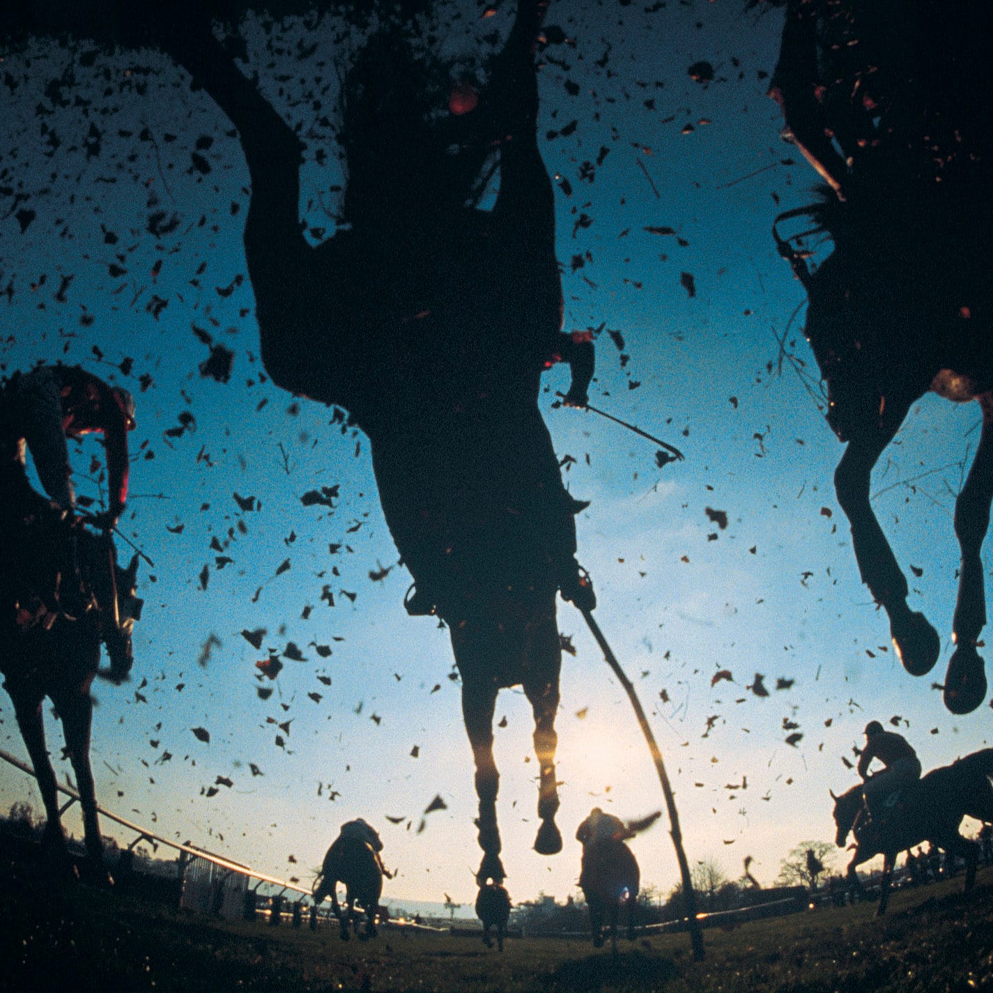 Jumps racing gets a boost