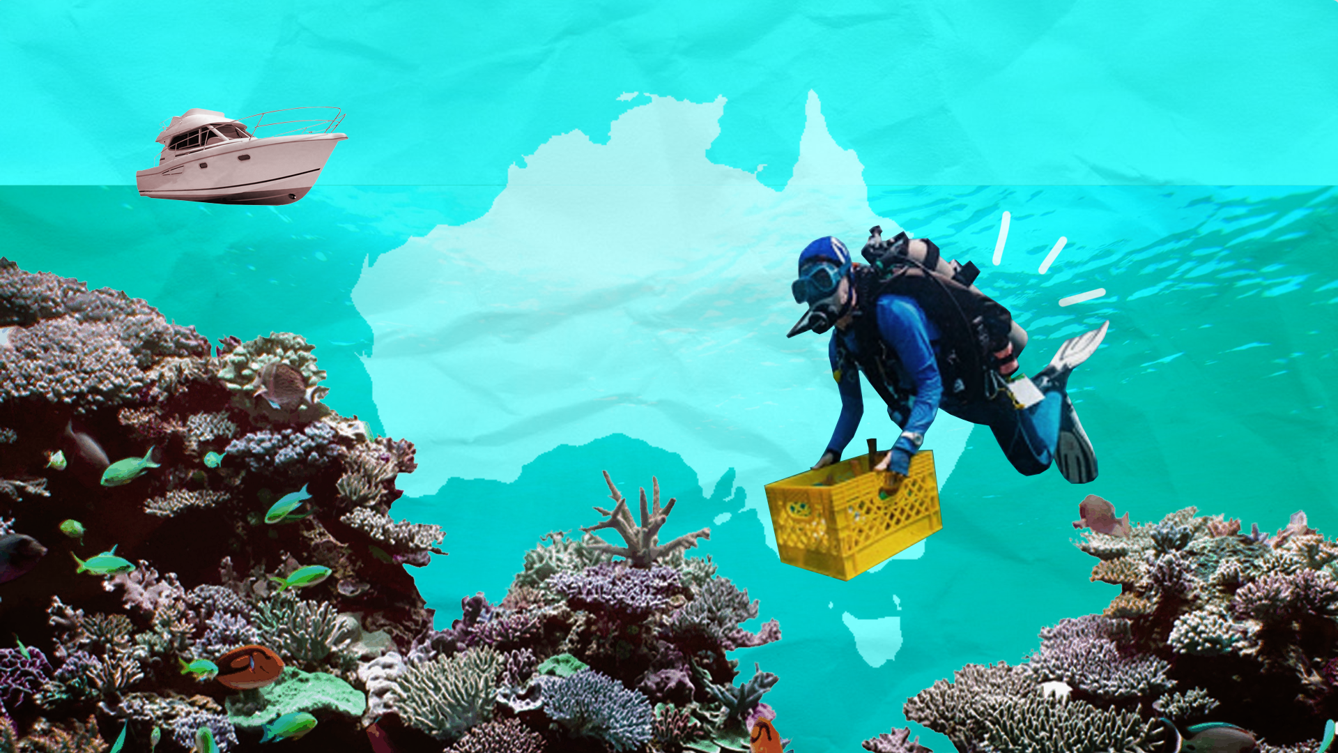 Tourism and science industries join forces to protect precious reef sites