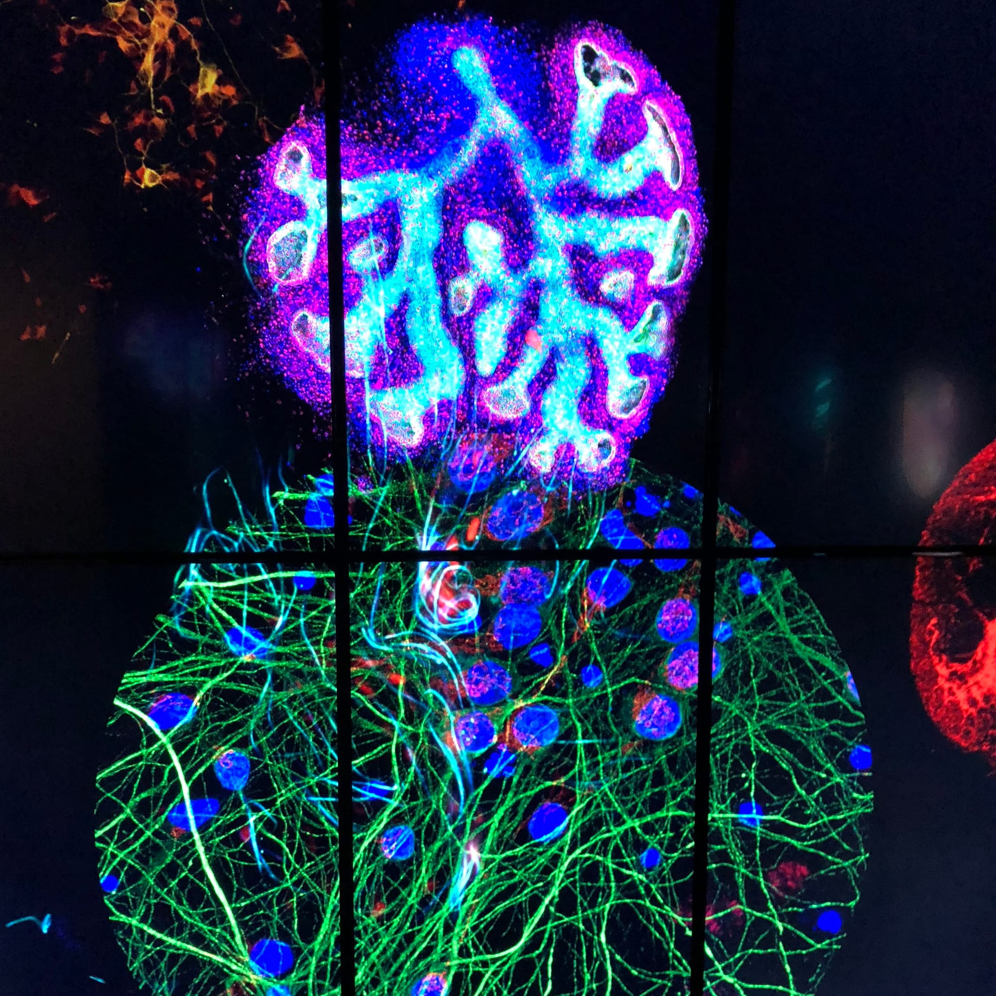 Cacophony, turbulent encounters, energetic vibrations ... teens tackle the power of science