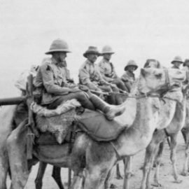 Special report: The King of the Cameleers – the rebellious patriotism of Abdul Wade