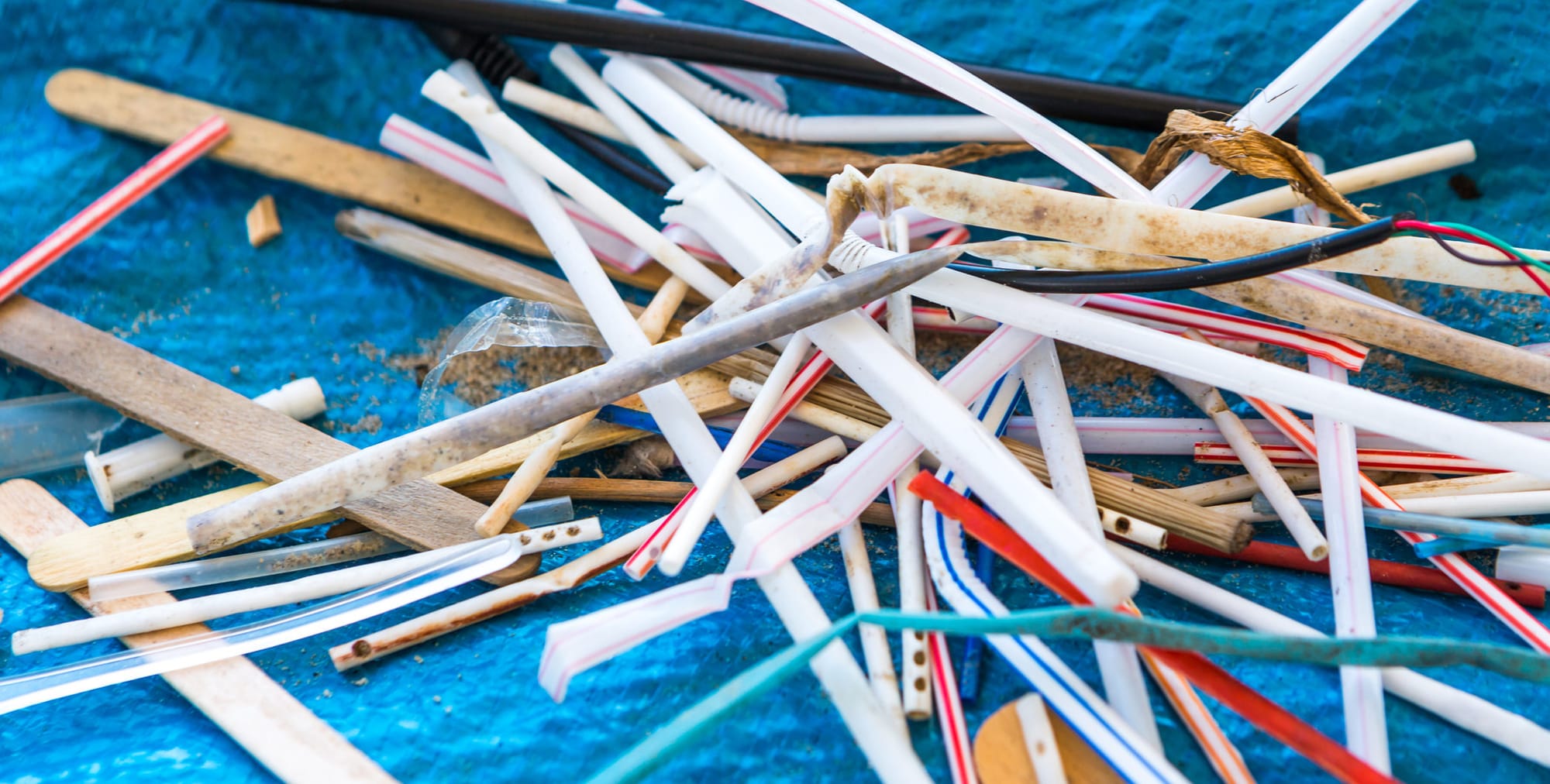 Plastic straw bans not the whole answer, say disability activists