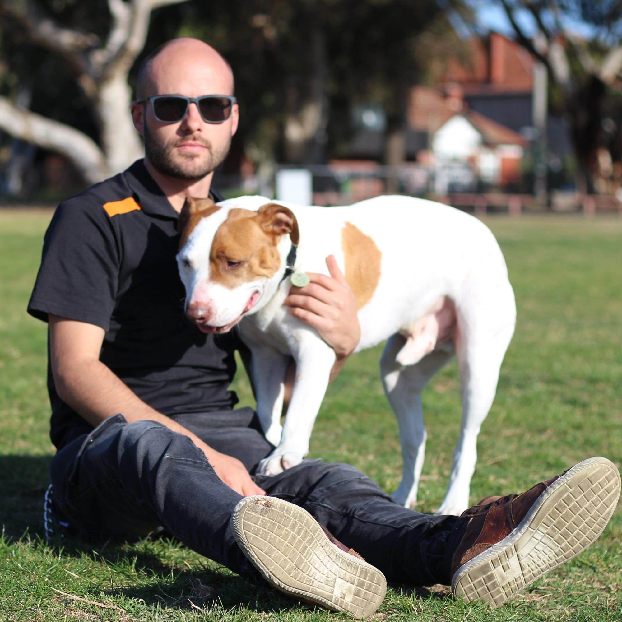 St Kilda dog owners left with nowhere to go
