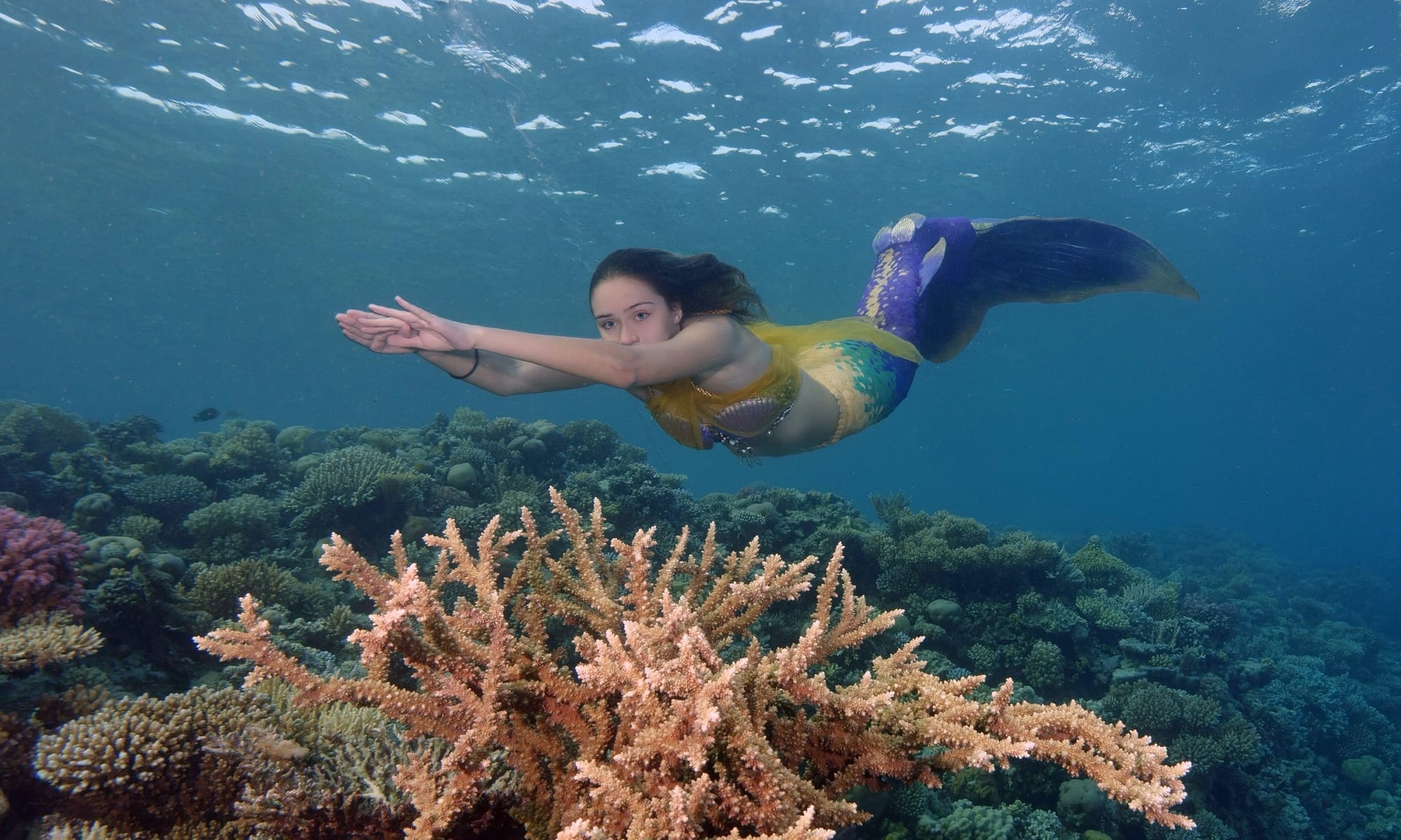 PICTURES: Monash student rides wave of success as a professional mermaid