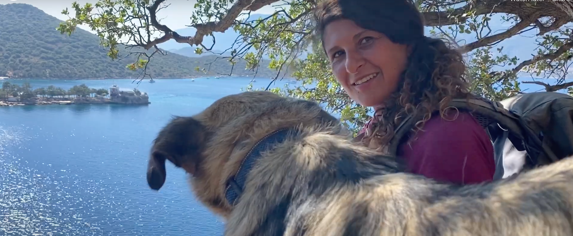 MOJO Docs: The Road to Transformation