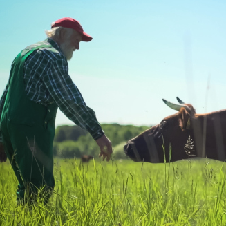 Reviews: Me and Earl and the Dying Girl; Good Things Await