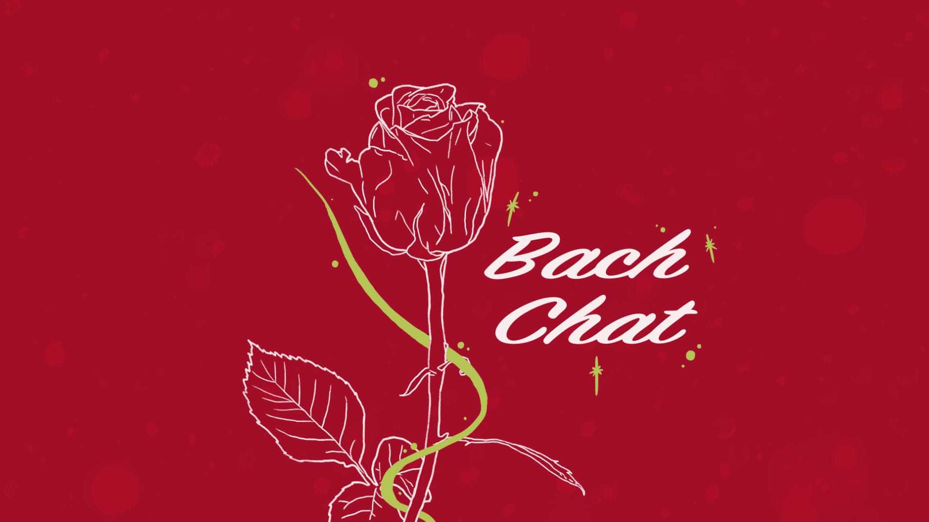 Bach Chat: Blonde tropes, oiled-up blokes and outback dates