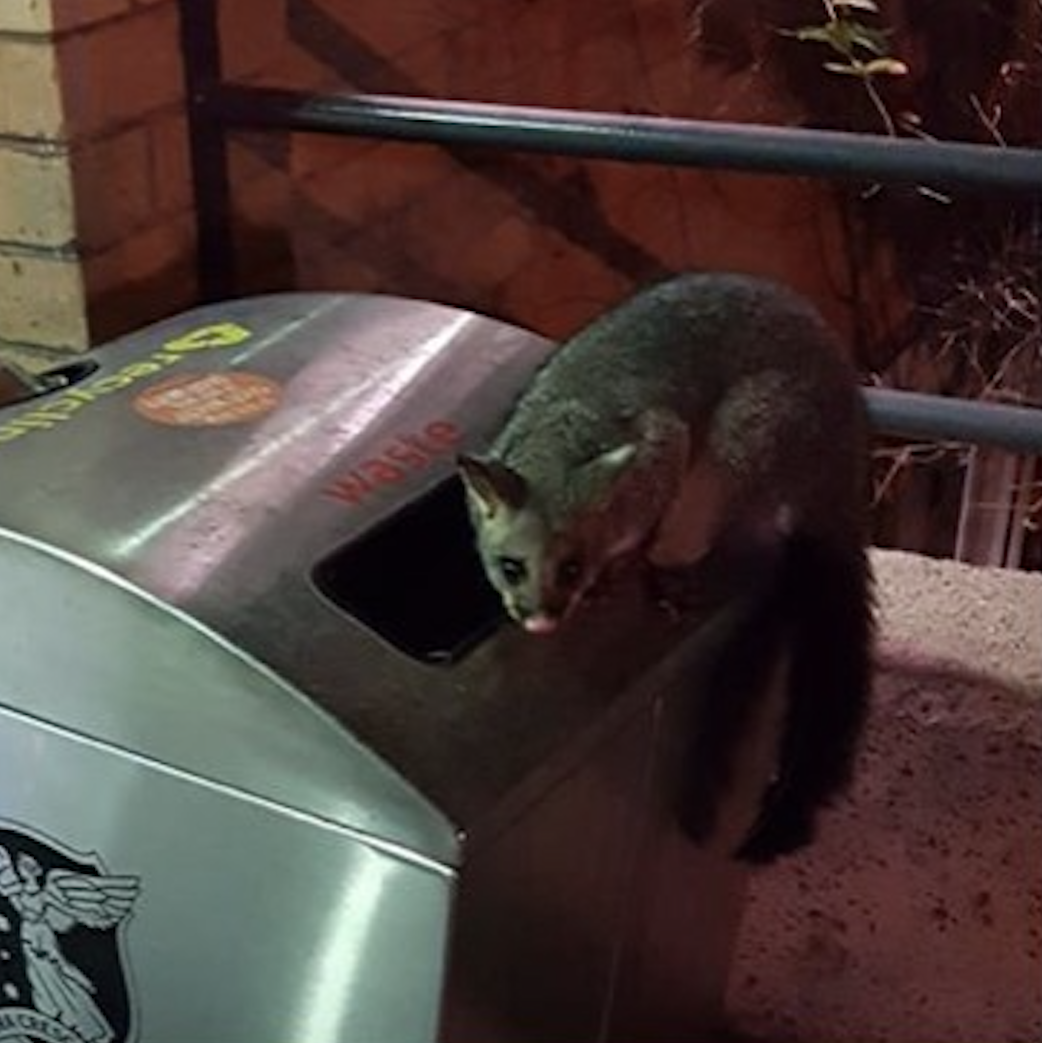 Hail Sir John: The hairy hero of Monash University
