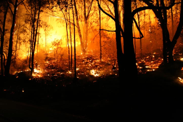 Lives and homes still 'at risk' while bushfire reforms incomplete