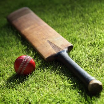 Cricket willow tree project drives investors bats