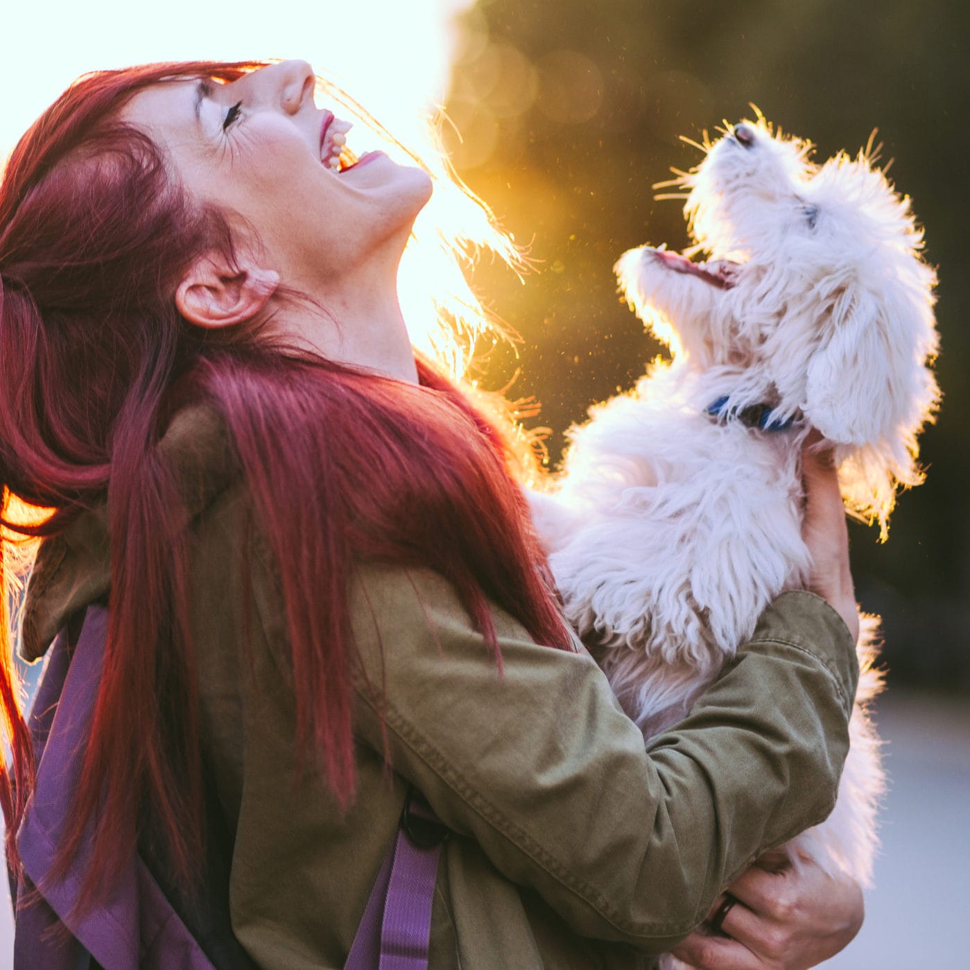 Exam stress? Cue dog cuddle