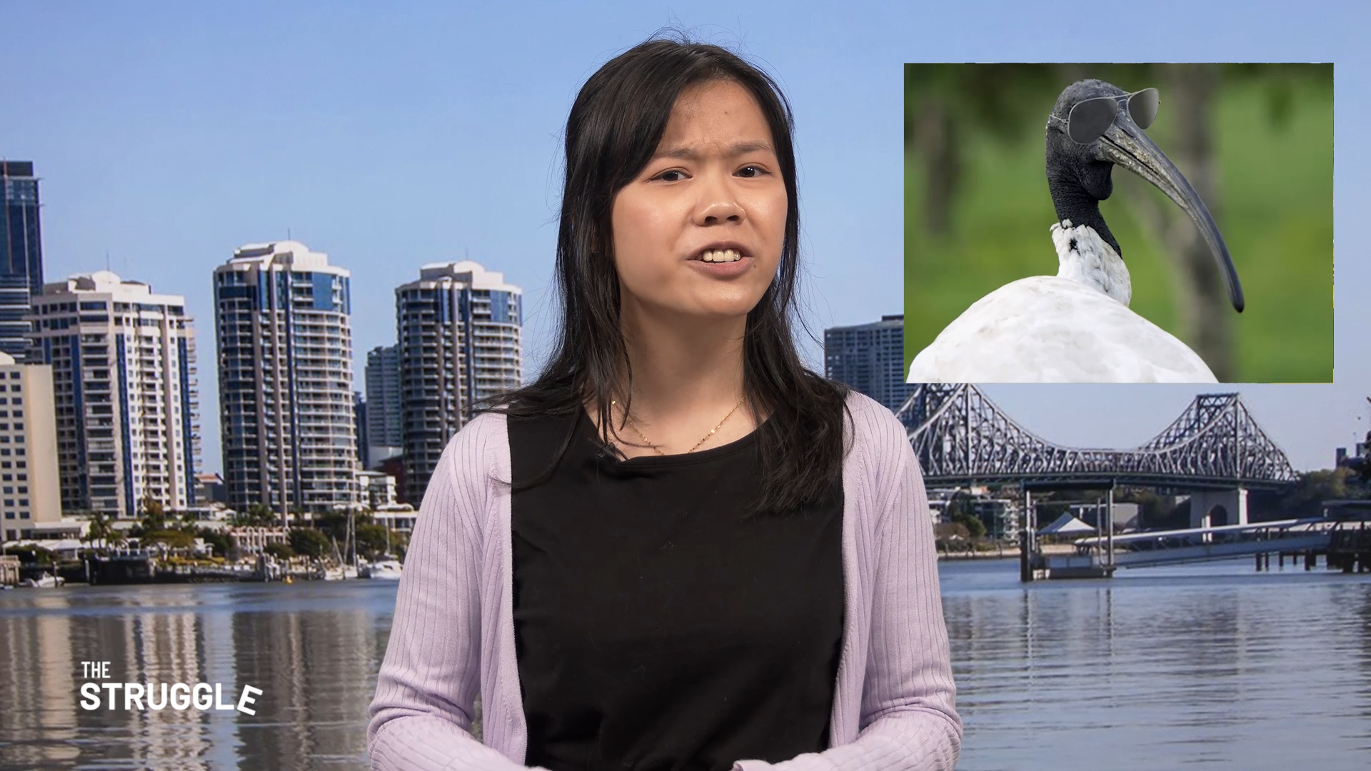 Season 9 Episode 3 | The Struggle