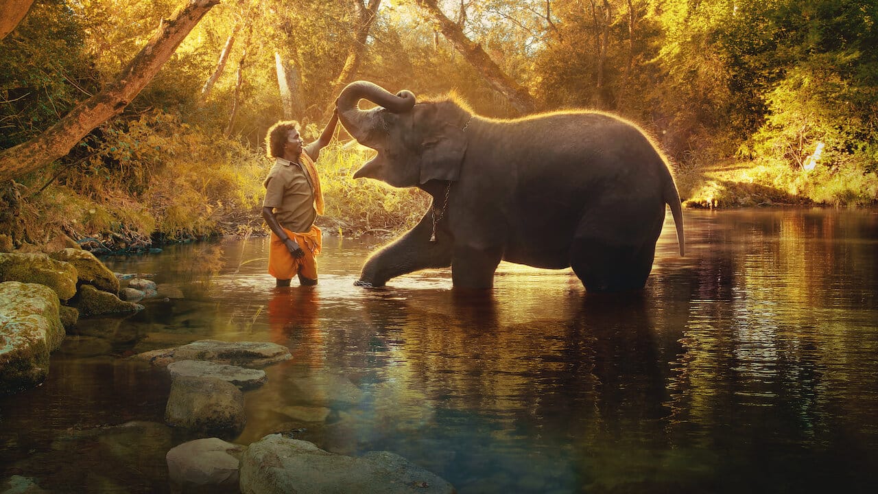 Review: The Elephant Whisperers on Netflix