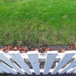 When football is more than a game