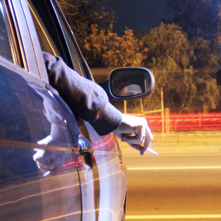 Taking the high road: Cannabis users underestimate driving risk