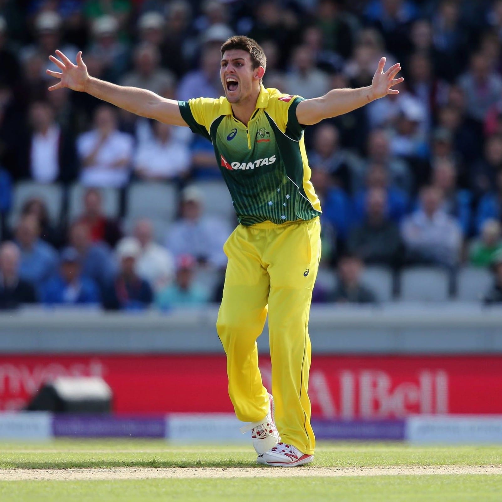 Marsh’s crucial four-wicket haul helps Australia claim ODI series