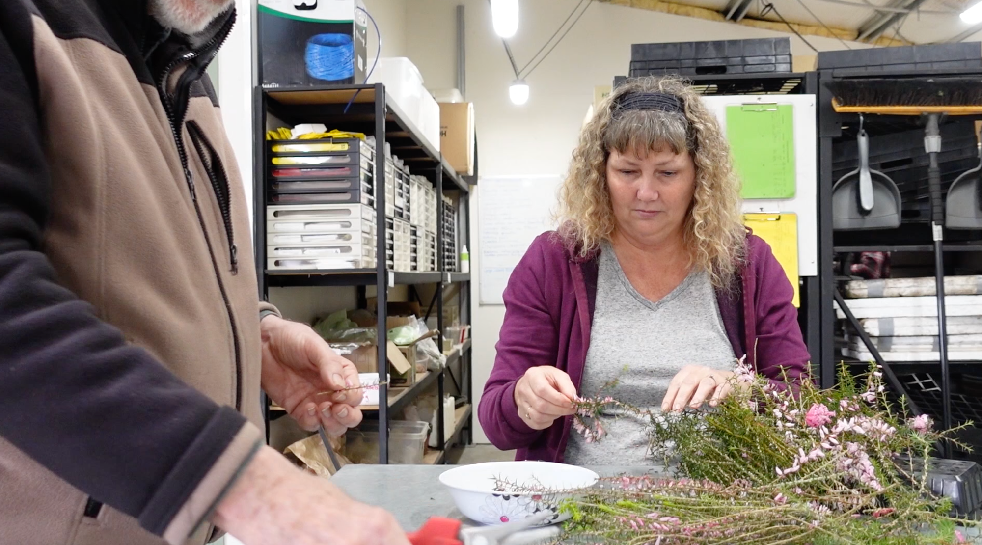 Growing hope for endangered plant species in Knox