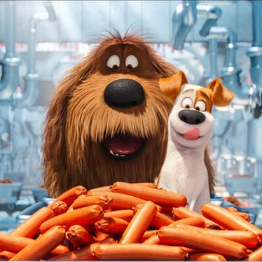 The Secret Life of Pets: Crazy animal shenanigans, but no real substance