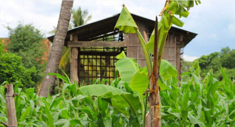 Domestic Violence in Cambodia – Part One: The Rural Challenge