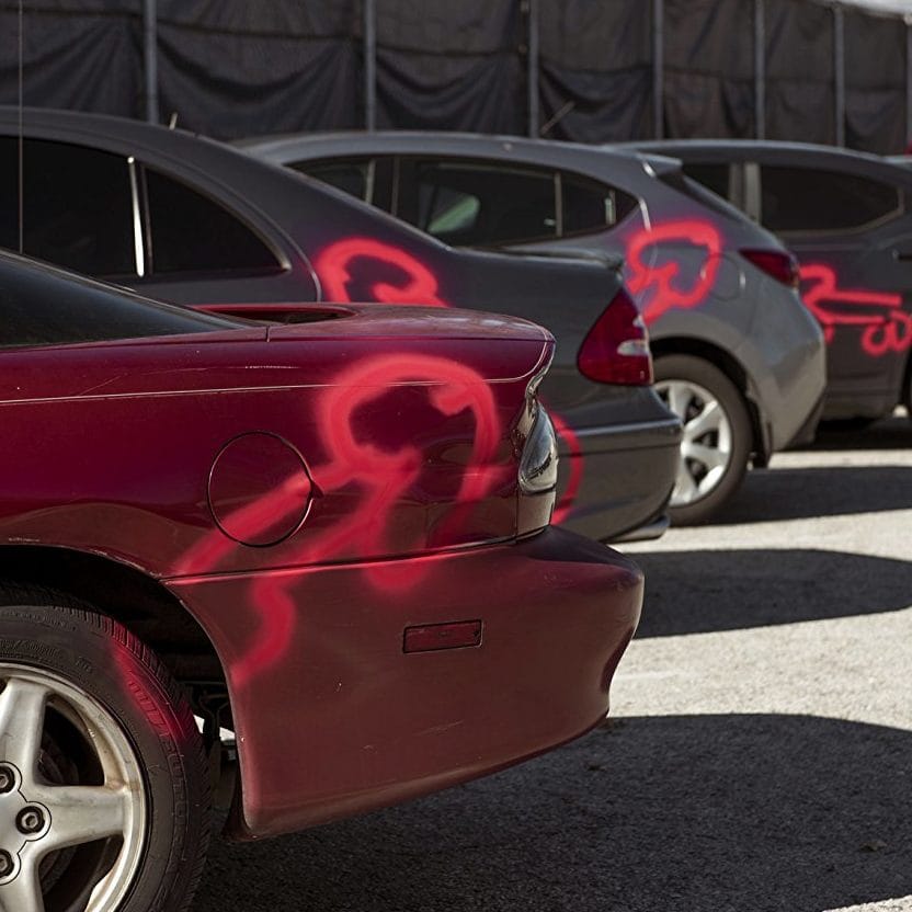 American Vandal: A dickumentary