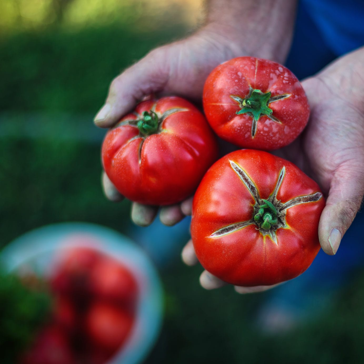 Pick My Project: From sustainable gardening to technology lessons