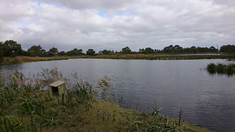 Freeway construction prompts environmental concerns for Braeside Park post image