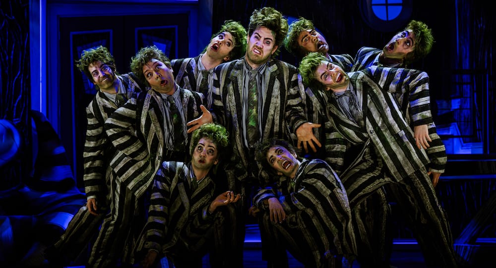 Beetlejuice the Musical | Review post image
