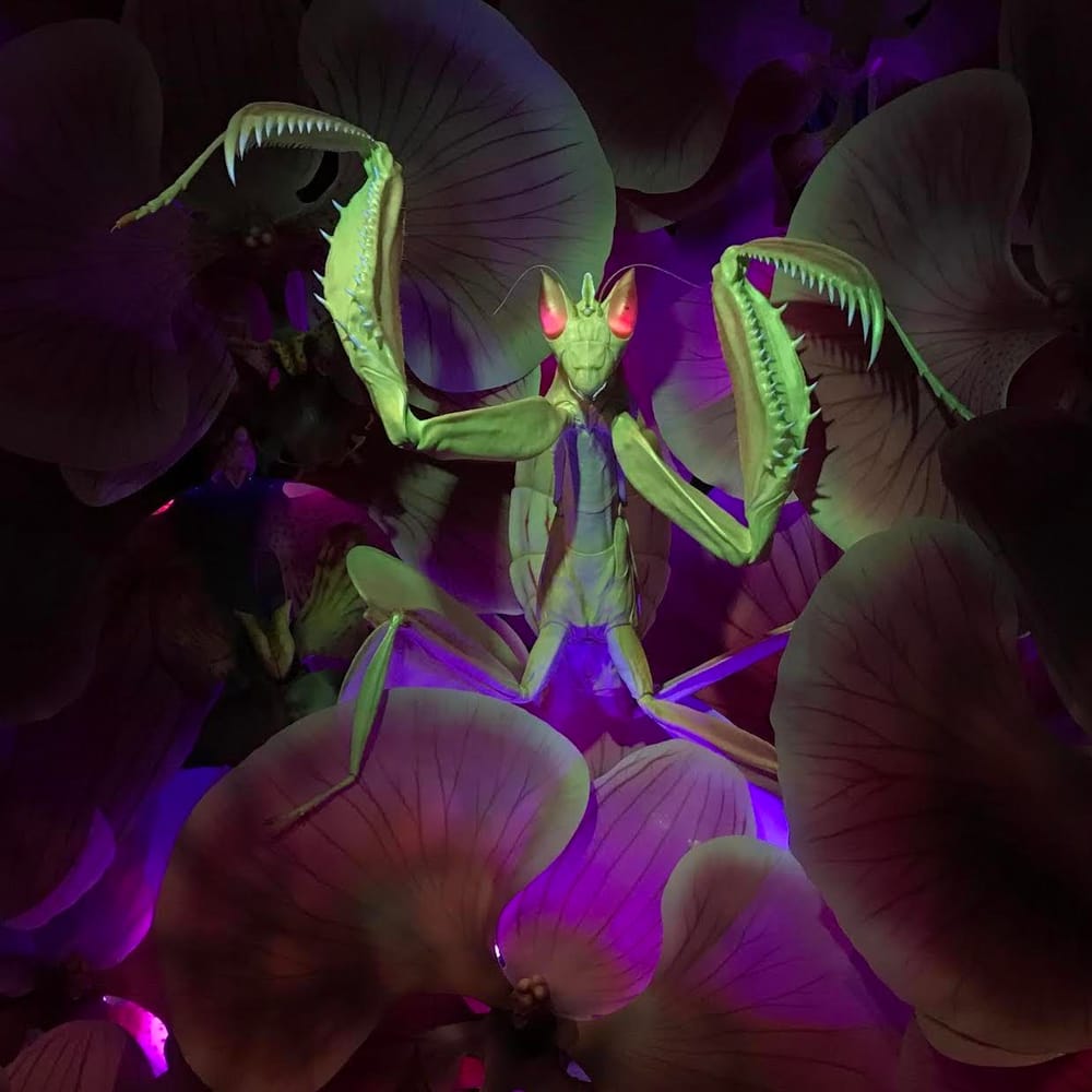 Science meets Hollywood as extraordinary bugs take centre stage post image