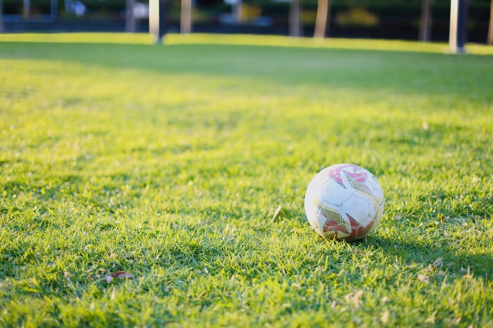 Who is Australia’s breakout striker, Michelle Heyman? post image