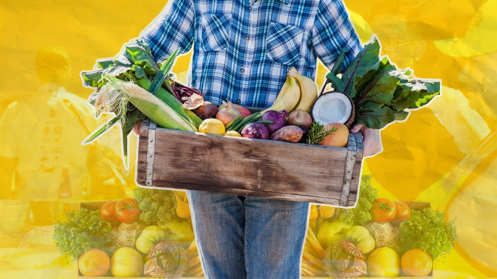 Community unites to provide food relief for struggling Victorians post image