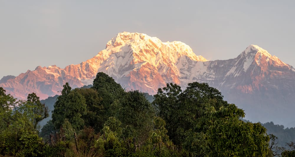 COVID-19 brings VisitNepal 2020 to a halt post image