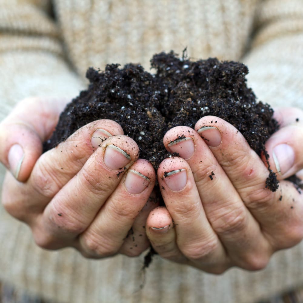 Sending food waste back to earth post image