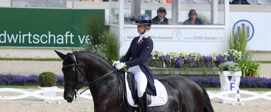 Dressage star thrives after European move post image