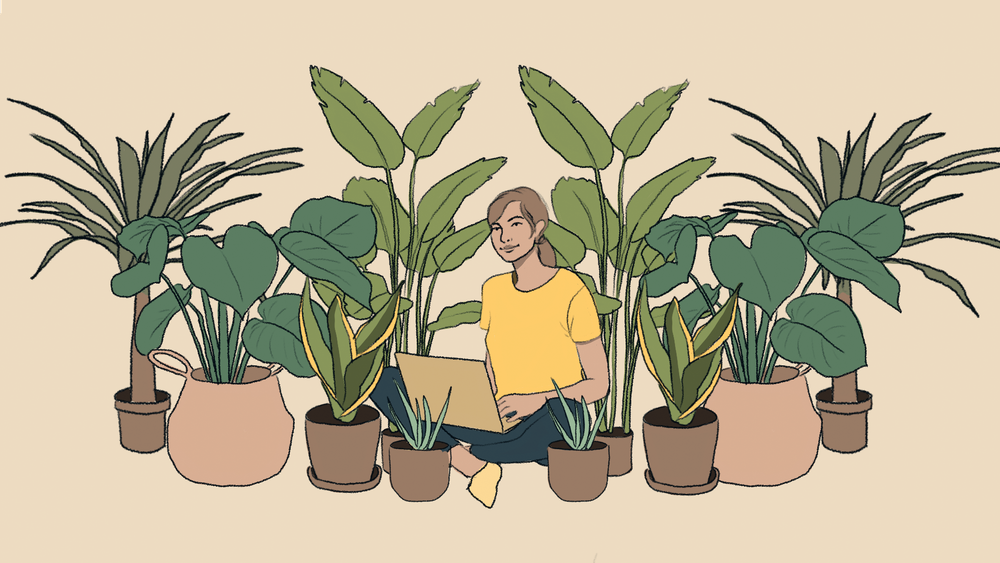 Victorians bring the outside in, as house plant sales grow during lockdown post image