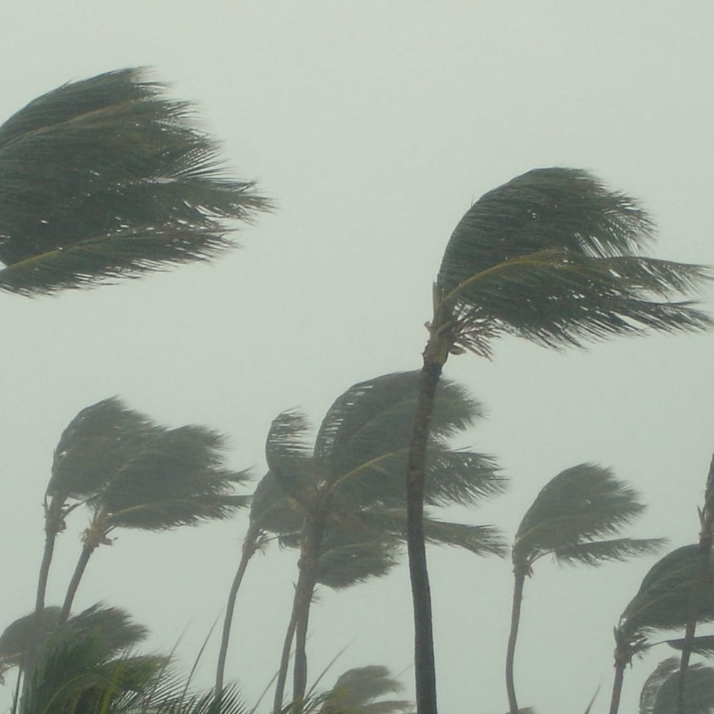 Peace and Gender: 'In a disaster, there is no safe space for women' post image