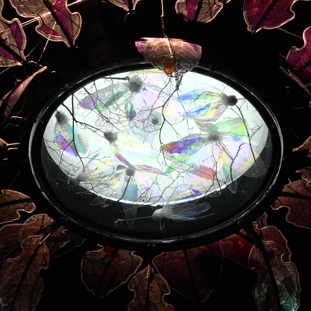 The artist and his laboratory – tripping the light fantastic post image