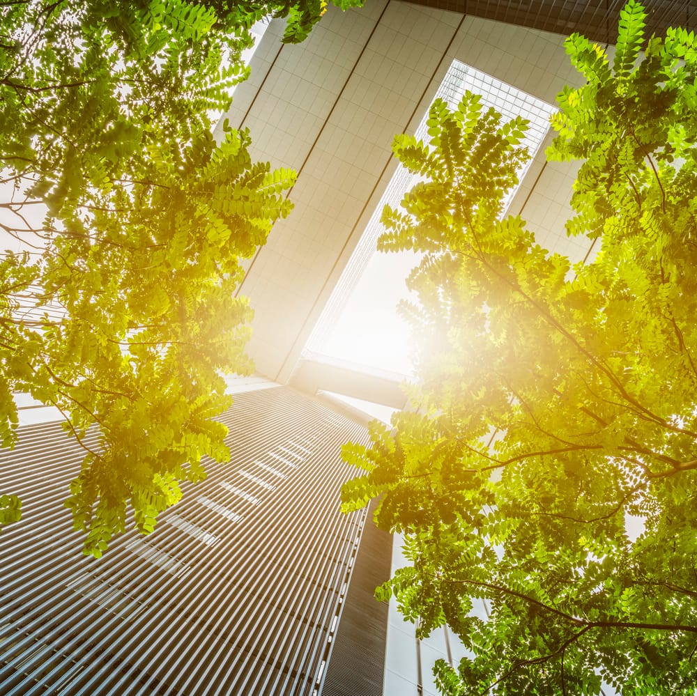 City on track for carbon neutral status post image