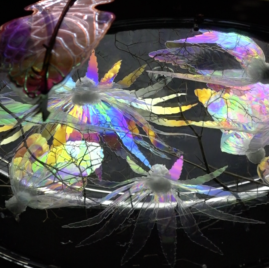 LightTime: a mesmerising fusion of science and art post image