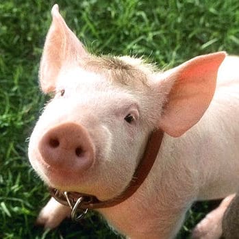 Mid semester break: 5 films to keep you entertained post image