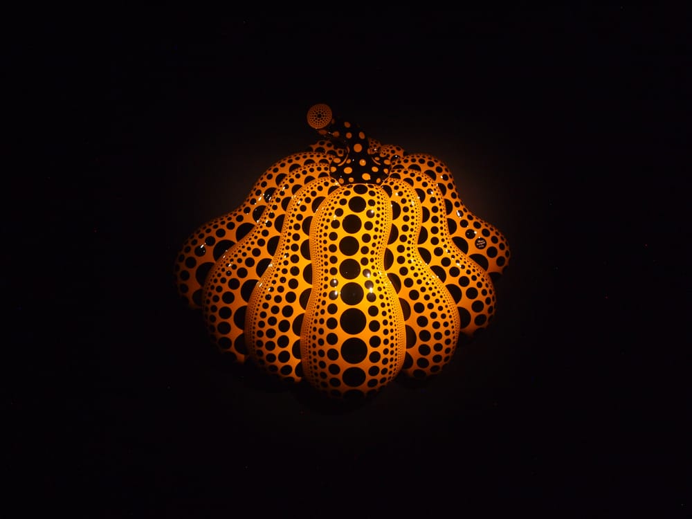 Kusama exhibit revels in wild repetition | Review post image